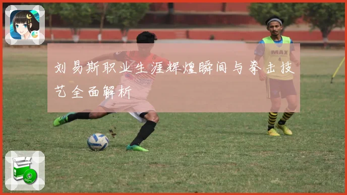刘易斯职业生涯辉煌瞬间与拳击技艺全面解析