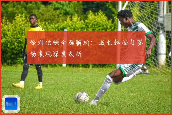 哈利伯顿全面解析：成长轨迹与赛场表现深度剖析