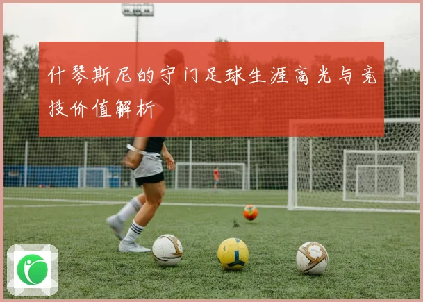 什琴斯尼的守门足球生涯高光与竞技价值解析