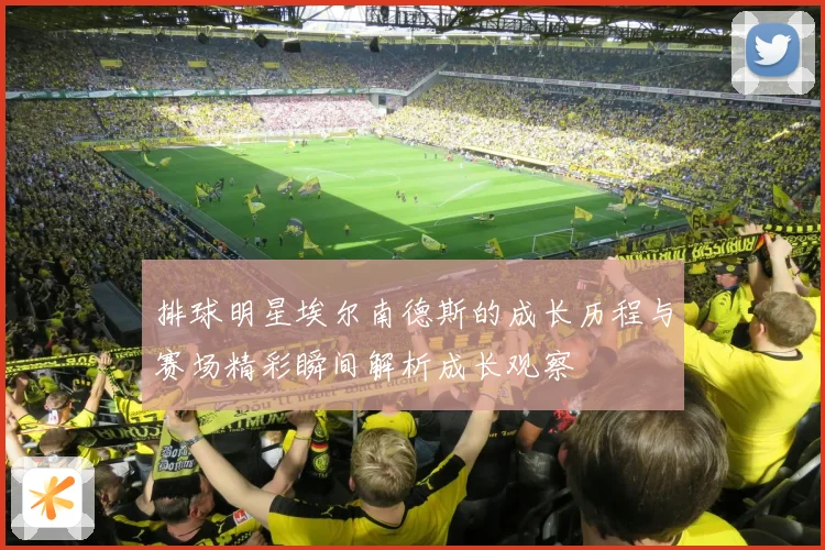 排球明星埃尔南德斯的成长历程与赛场精彩瞬间解析成长观察